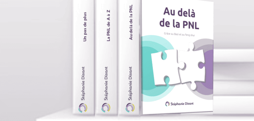 Livre stephanie disant